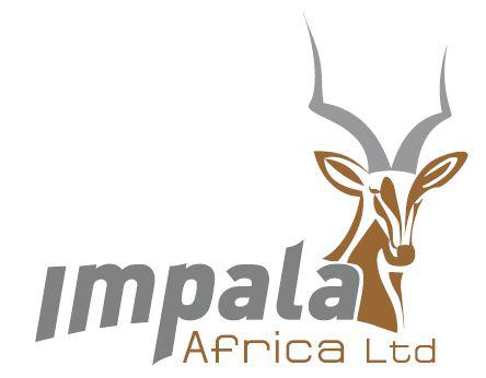 Footer Logo